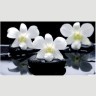Нью йорк фотопечать стол обеденный раздвижной / орхидея на черных камнях/бетон белый/черный