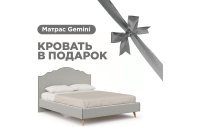 Ариана Кровать 1600 мягкая с матрасом Gemini (Светло-серый/Стальной)