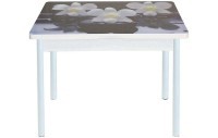 Симпл фотопечать стол обеденный раскладной / орхидея на черных камнях/бетон белый/белый