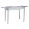 Нью йорк фотопечать стол обеденный раздвижной / цветы на сером/бетон белый/металлик