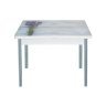 Симпл фотопечать стол обеденный раскладной / букет/бетон белый/металлик